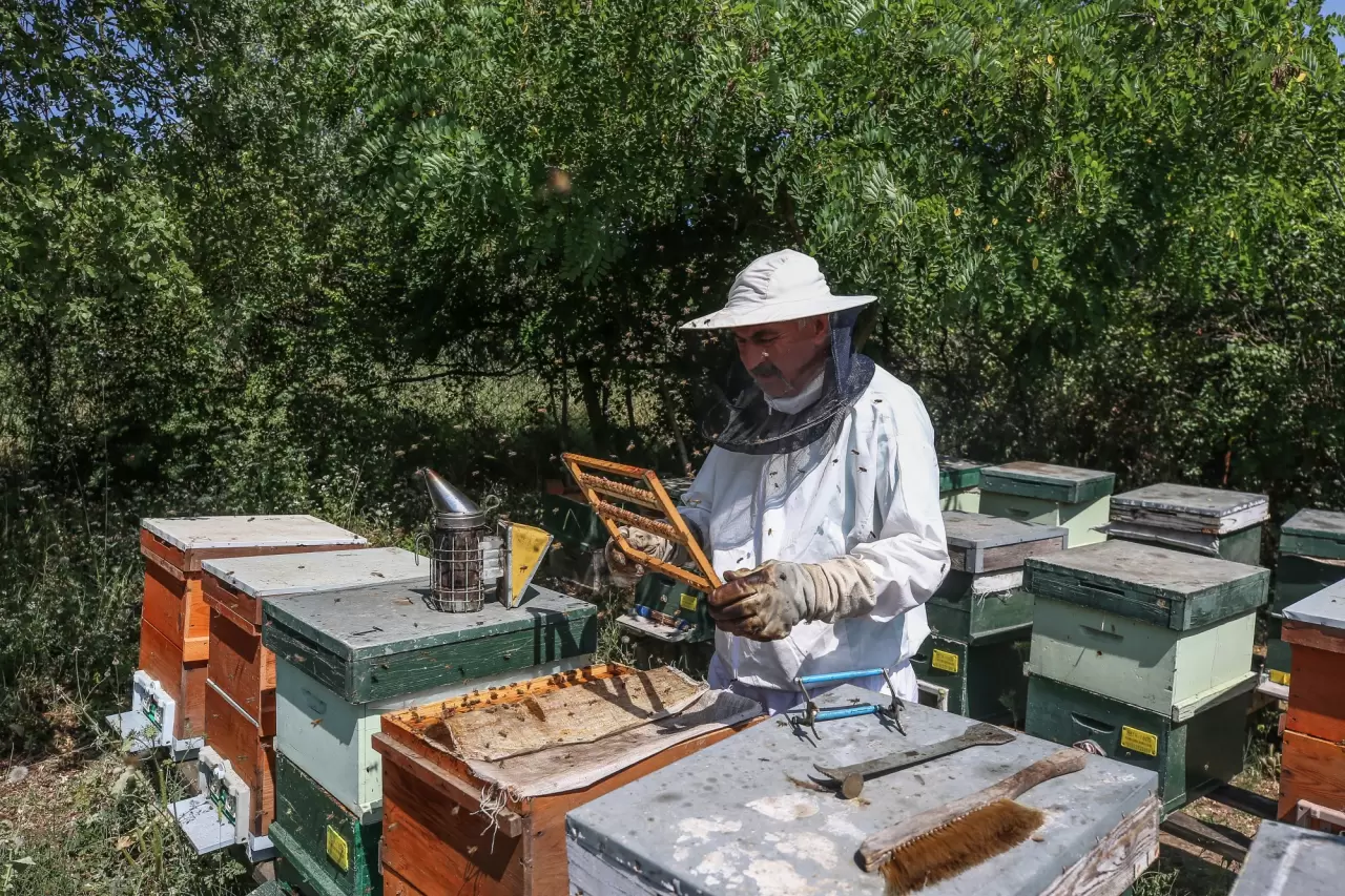 Ülkenin dört bir yanına arı sütü gönderen arkadaş grubu 2