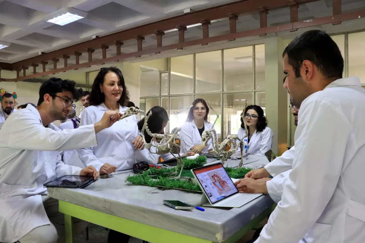 Hayvan iskeletleri yapay zekayla dijitalleştiriliyor 2