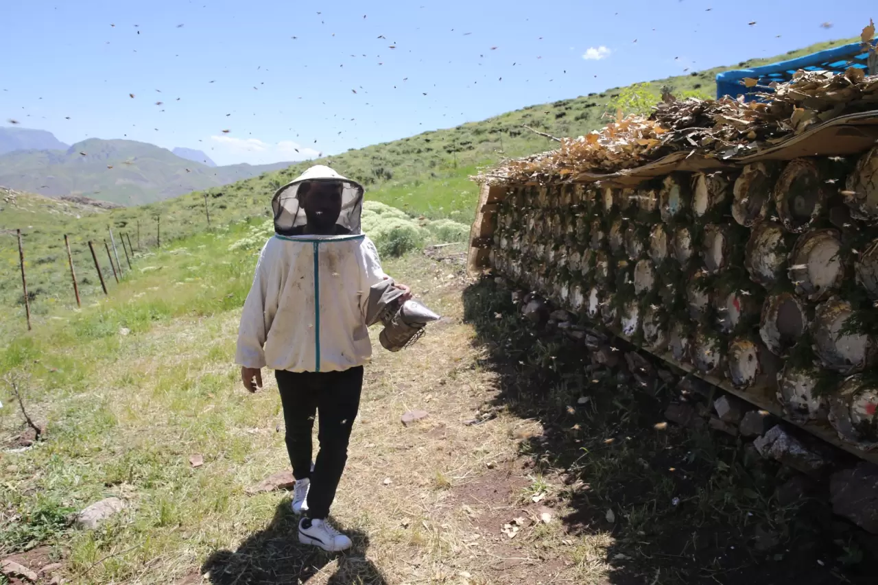 2 bin 156 rakımlı yaylada tescilli bal üretimi yapıyorlar 2