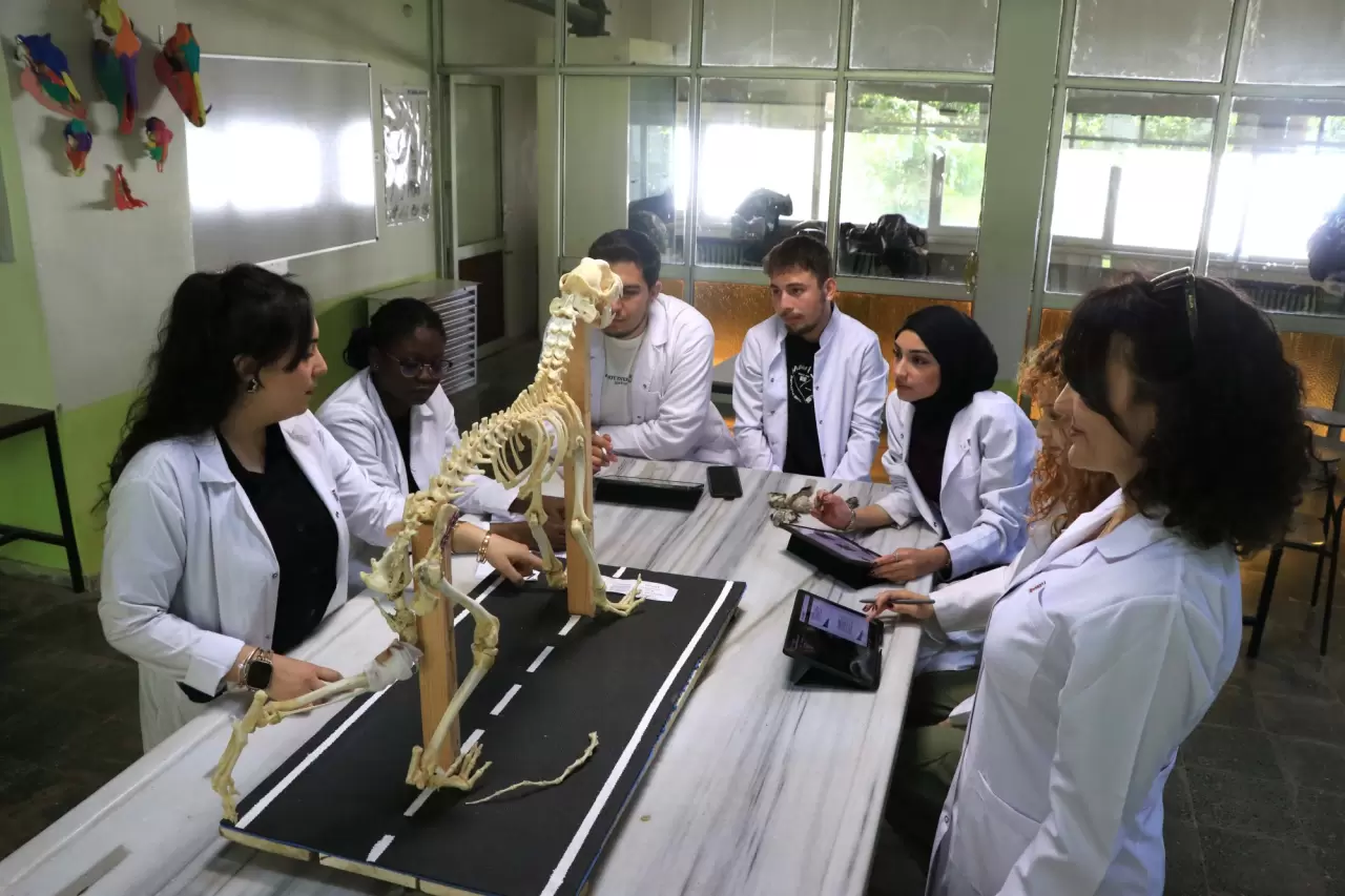 Hayvan iskeletleri yapay zekayla dijitalleştiriliyor 3