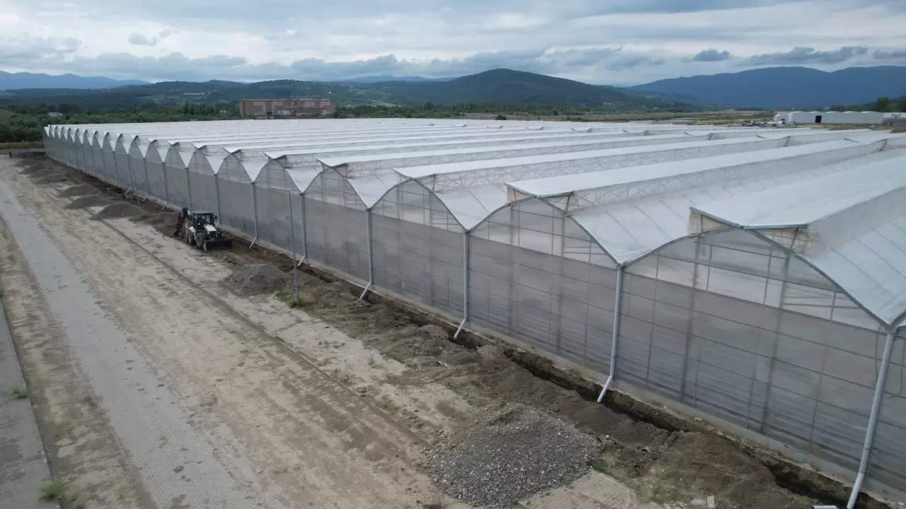 Sera organize tarım bölgesi, ekonomiye 750 milyon lira katkı sağlayaca 3