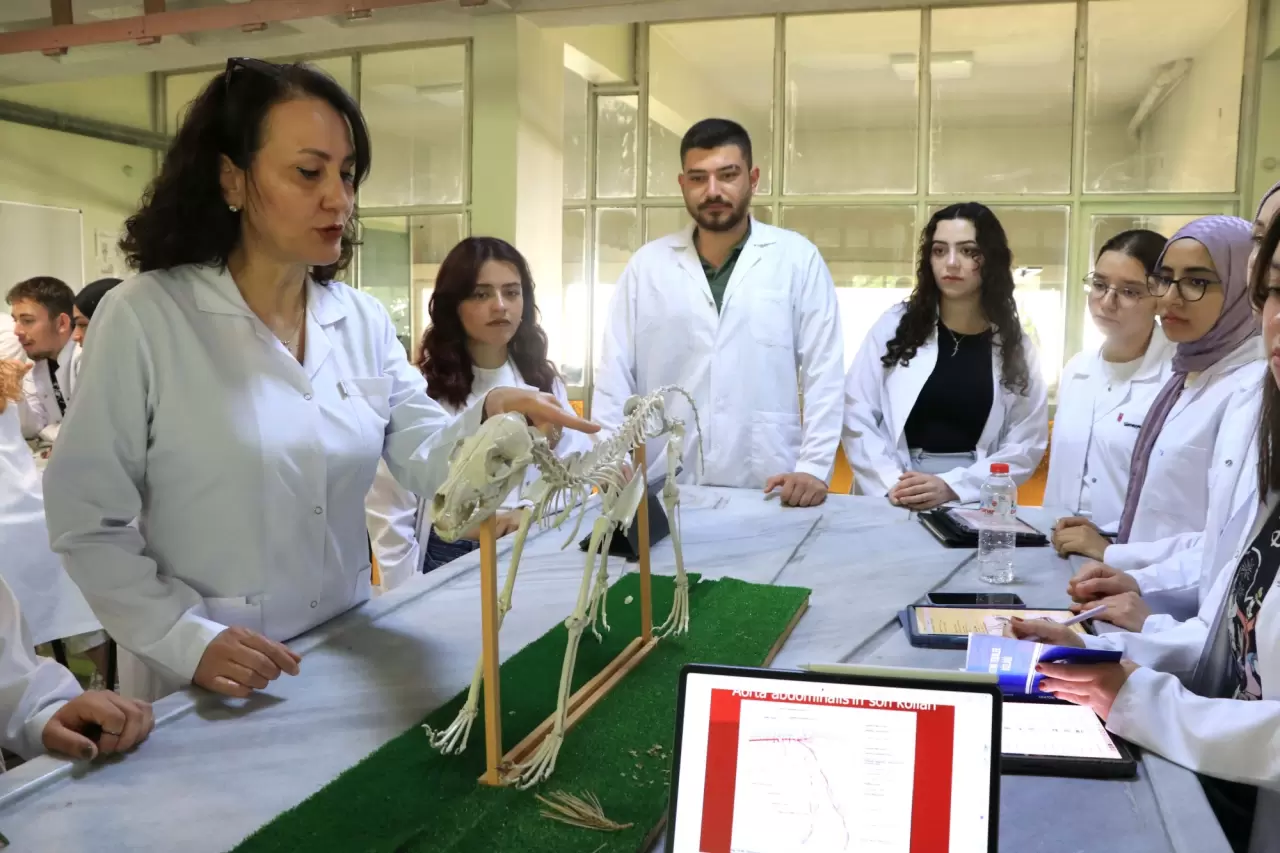 Hayvan iskeletleri yapay zekayla dijitalleştiriliyor 4