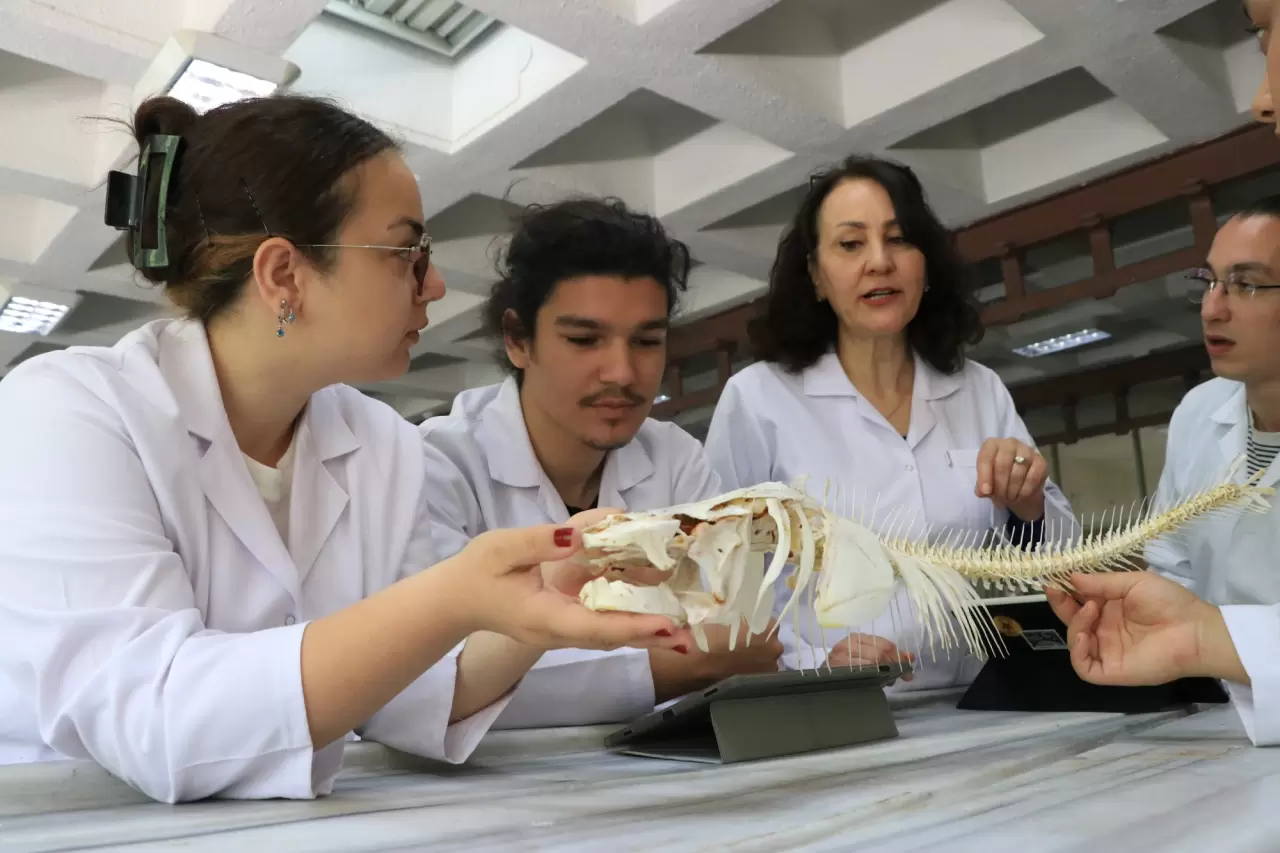 Hayvan iskeletleri yapay zekayla dijitalleştiriliyor 1