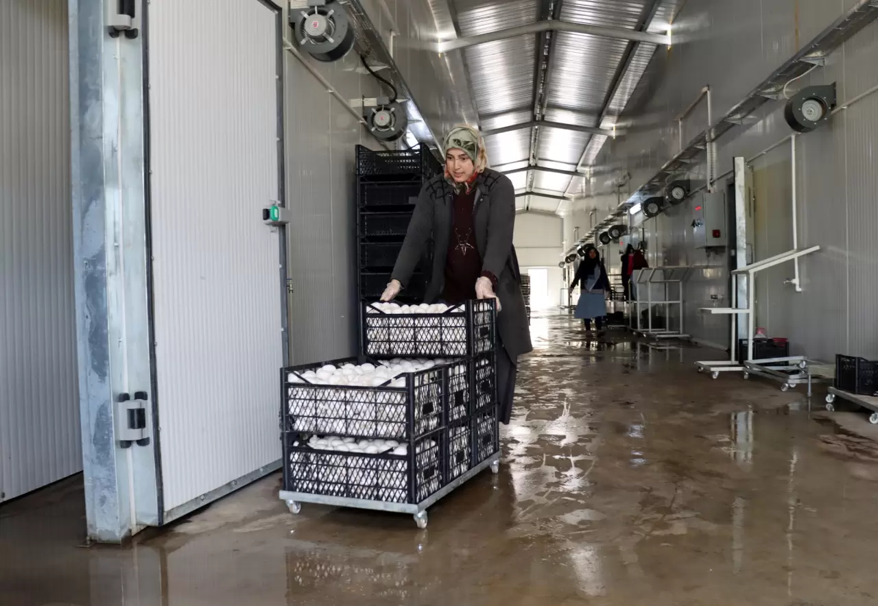 Gıda mühendisi oğlu sayesinde 53 yaşında mantar üreticisi oldu 2