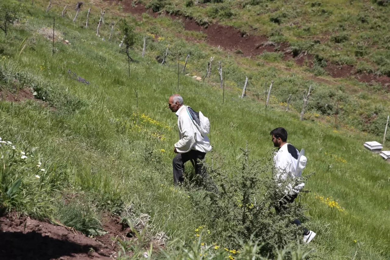 2 bin 156 rakımlı yaylada tescilli bal üretimi yapıyorlar 6