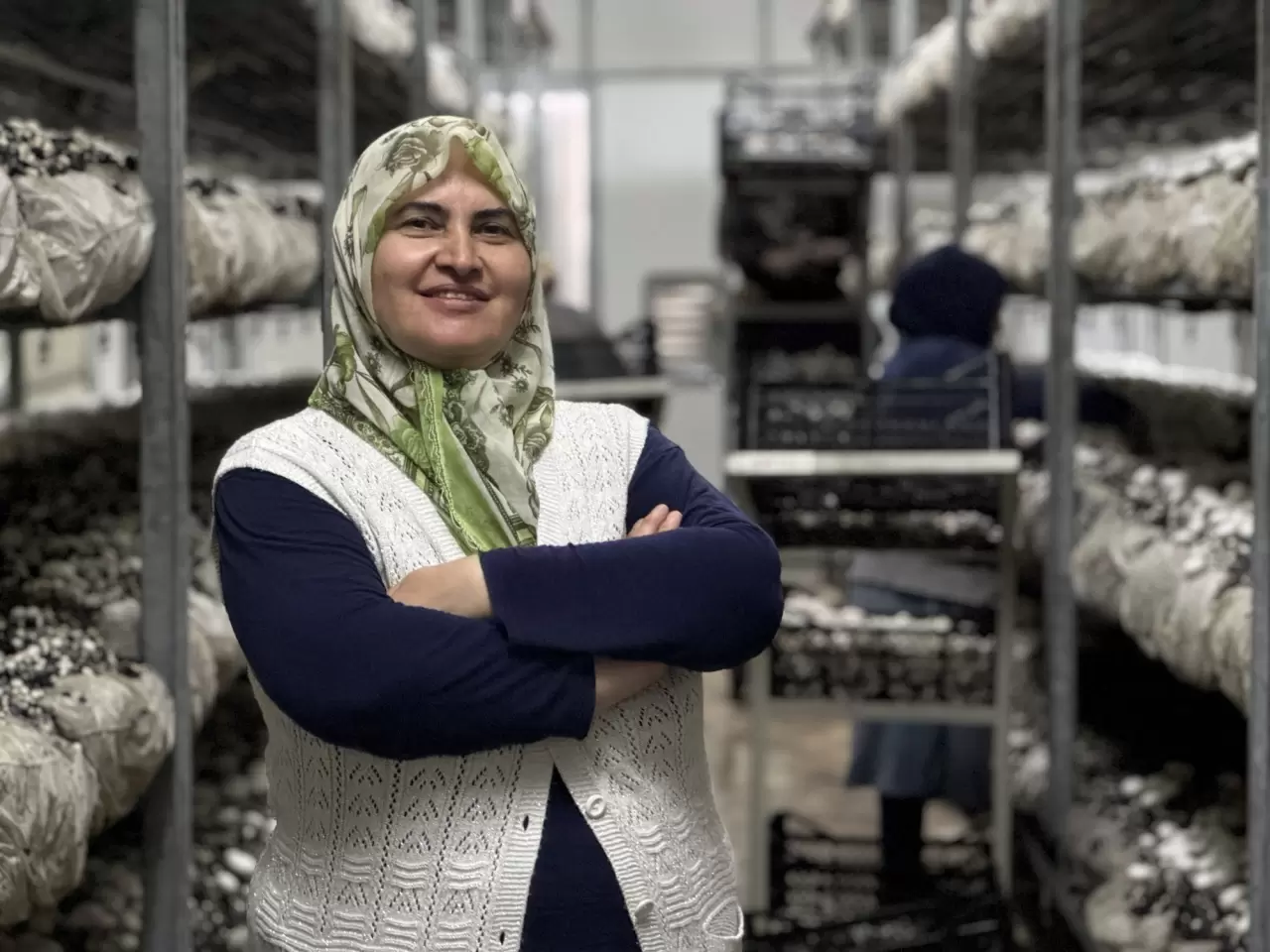 Gıda mühendisi oğlu sayesinde 53 yaşında mantar üreticisi oldu 1