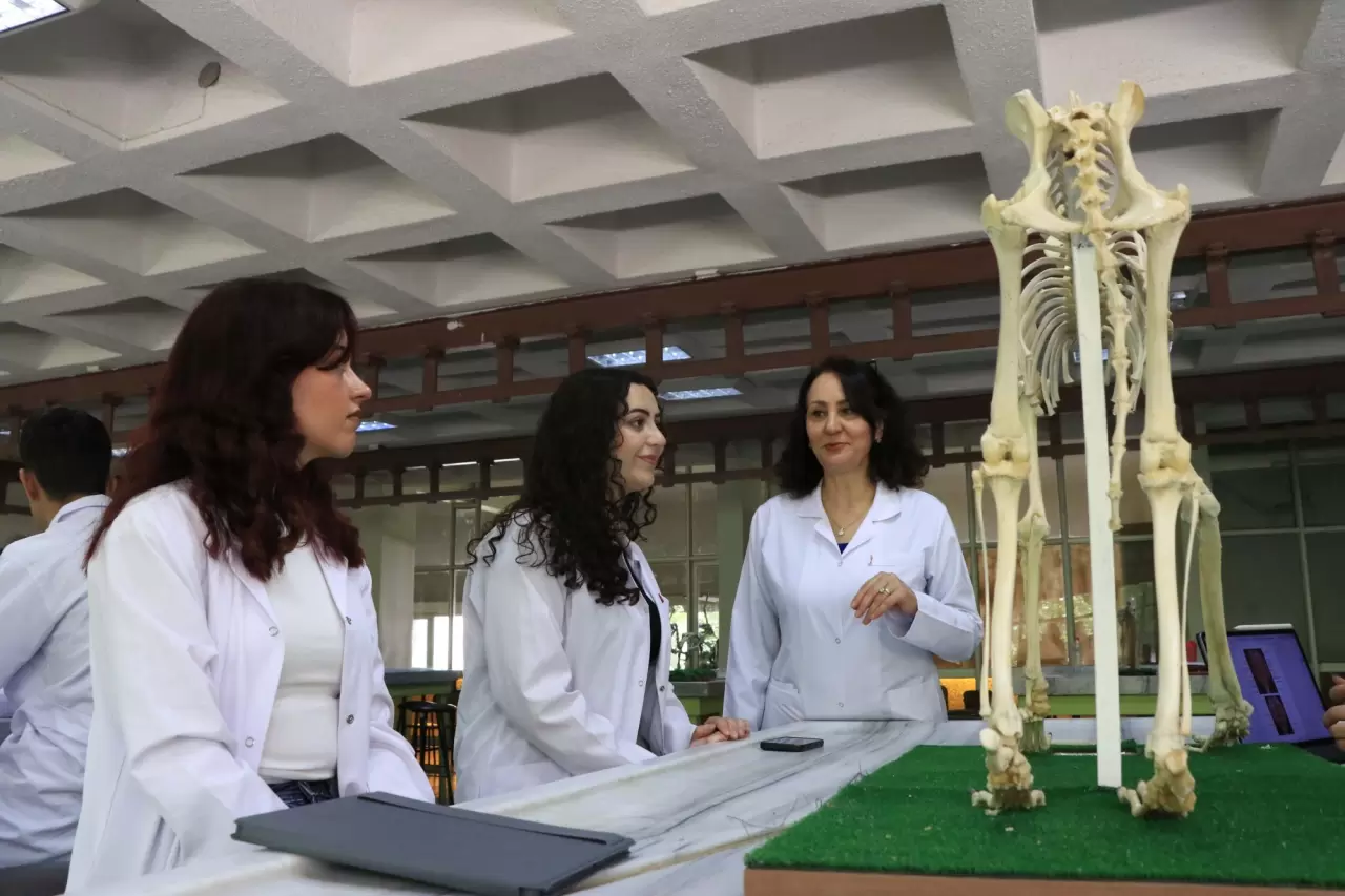 Hayvan iskeletleri yapay zekayla dijitalleştiriliyor 5