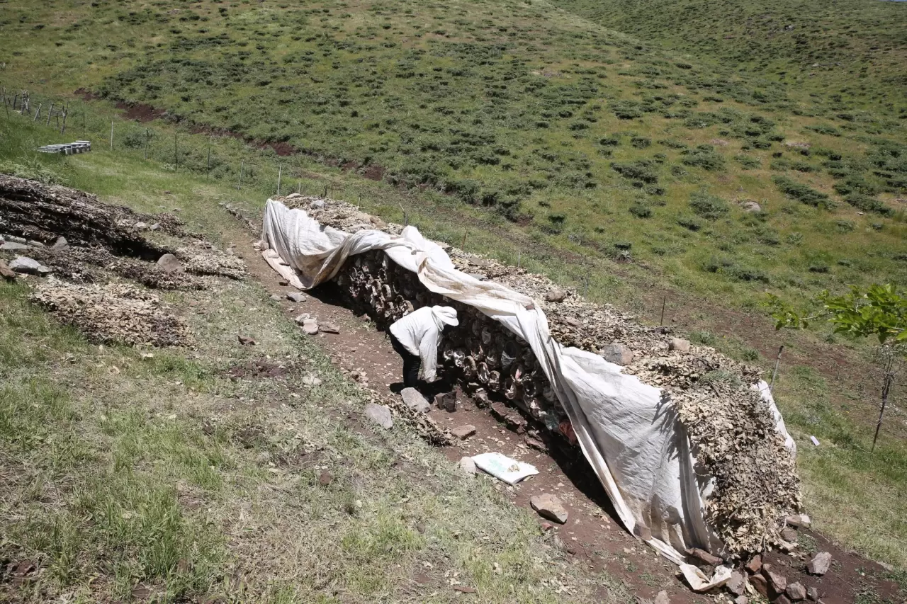 2 bin 156 rakımlı yaylada tescilli bal üretimi yapıyorlar 4