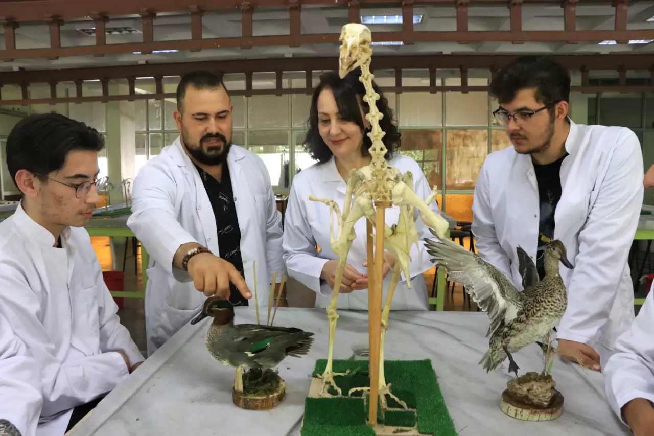 Hayvan iskeletleri yapay zekayla dijitalleştiriliyor 6