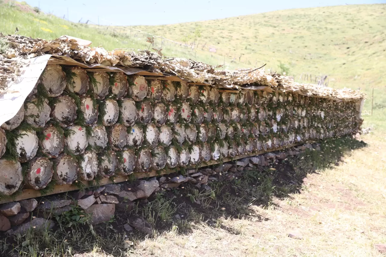 2 bin 156 rakımlı yaylada tescilli bal üretimi yapıyorlar 1