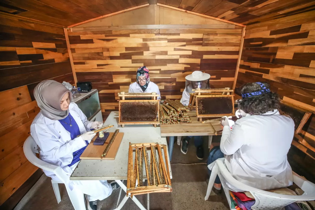 Ülkenin dört bir yanına arı sütü gönderen arkadaş grubu 4