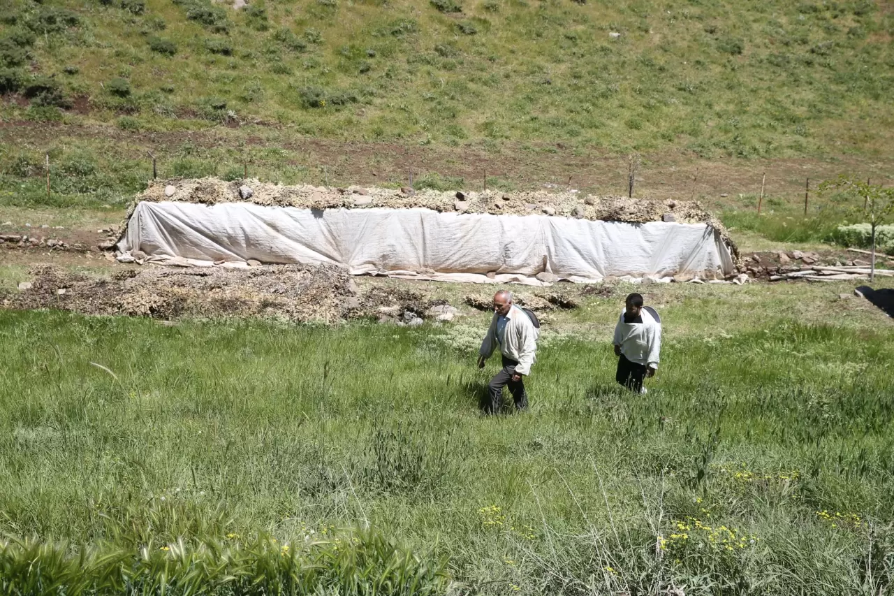 2 bin 156 rakımlı yaylada tescilli bal üretimi yapıyorlar 5