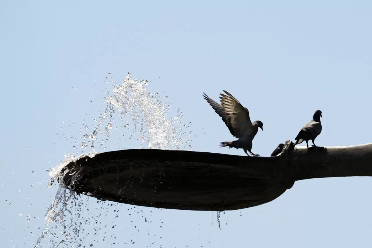 Yurttan içinizi serinletecek manzaralar 3