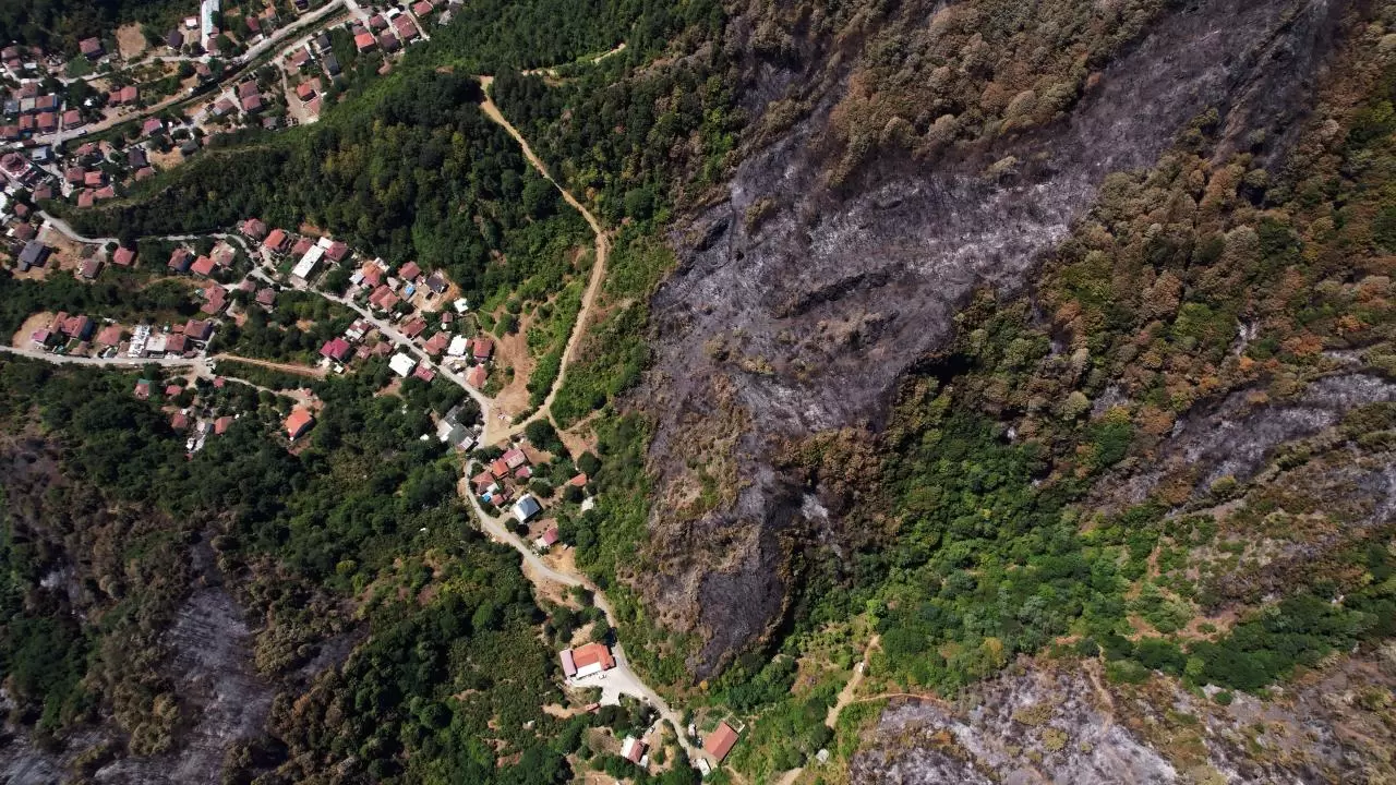 Yangın sonrası acı tablo: 'Yeşil' ve 'siyah' yan yana 4