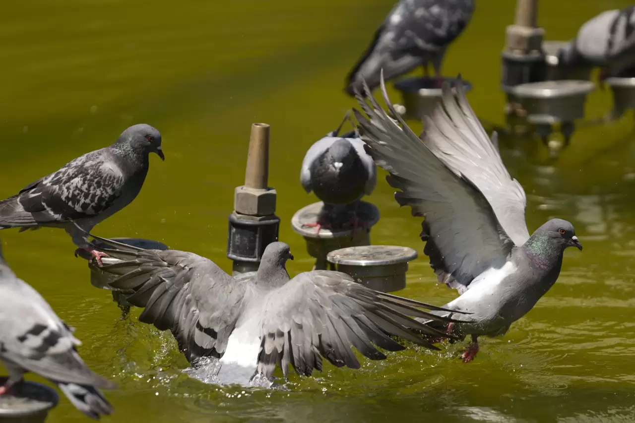 Yurttan içinizi serinletecek manzaralar 4