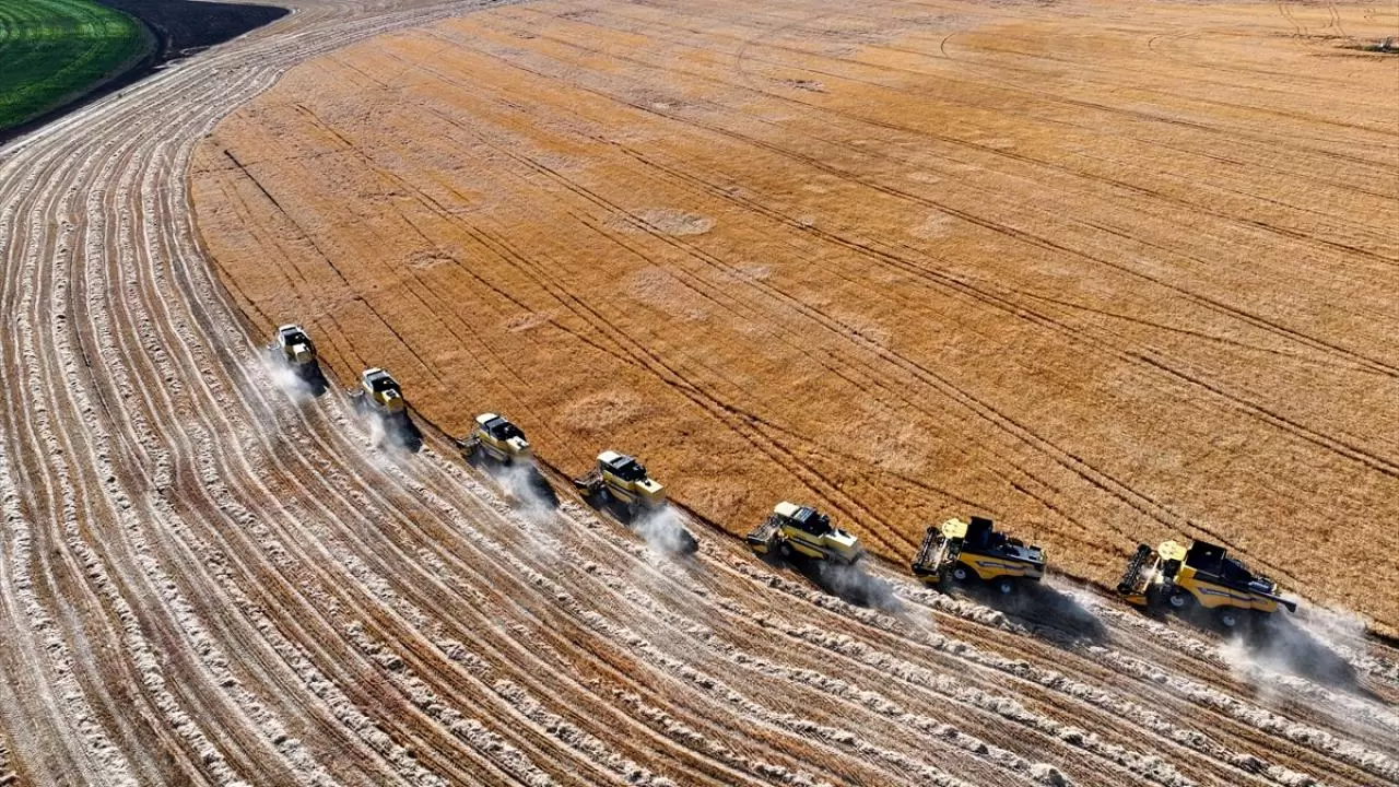 Konya'nın devasa dairesel tarlalarında hasat tamamlandı 6