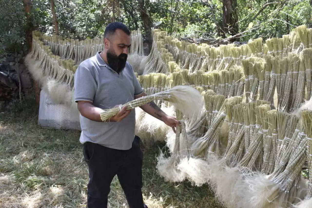 Mekanları süsleyen pampasın 'zahmetli' yolculuğu 1