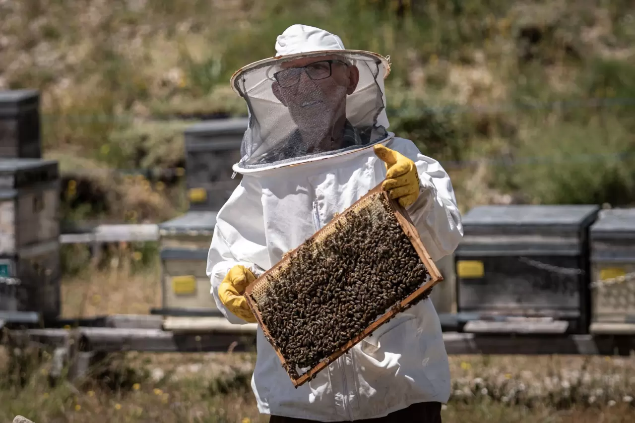 Kanseri yendi, hayatını arıcılığa adadı 1