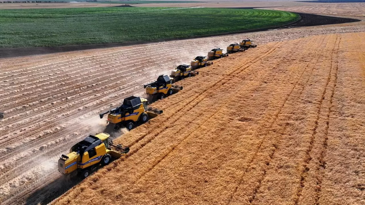 Konya'nın devasa dairesel tarlalarında hasat tamamlandı 7