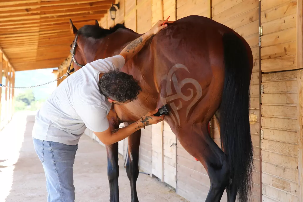 Hafta içi insan, hafta sonu ise at berberi 3