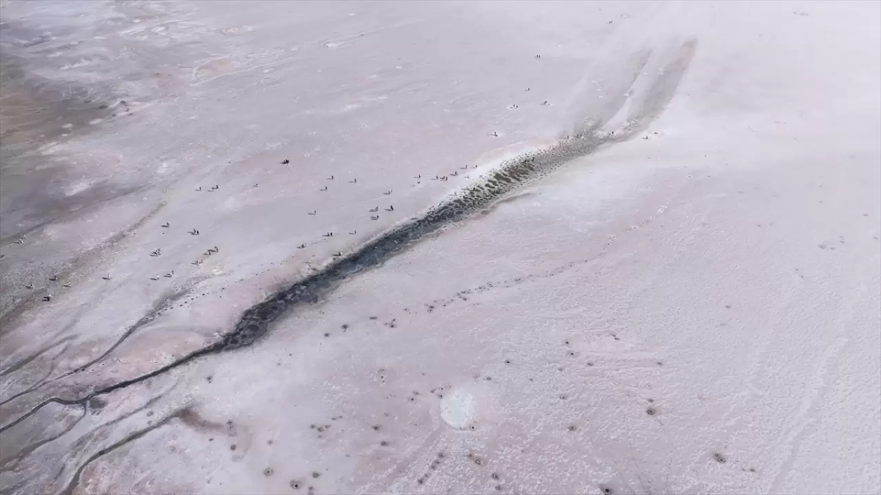 Tuz Gölü pembe renge büründü 3