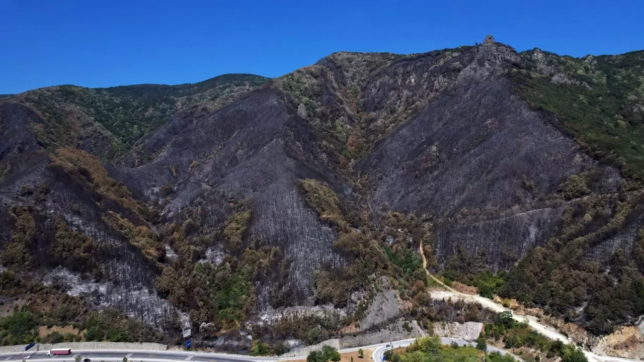 Yangın sonrası acı tablo: 'Yeşil' ve 'siyah' yan yana 5
