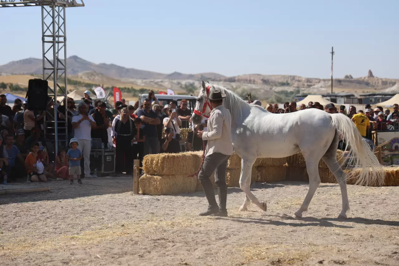 Kapadokya’da güzel atlar podyuma çıktı 3