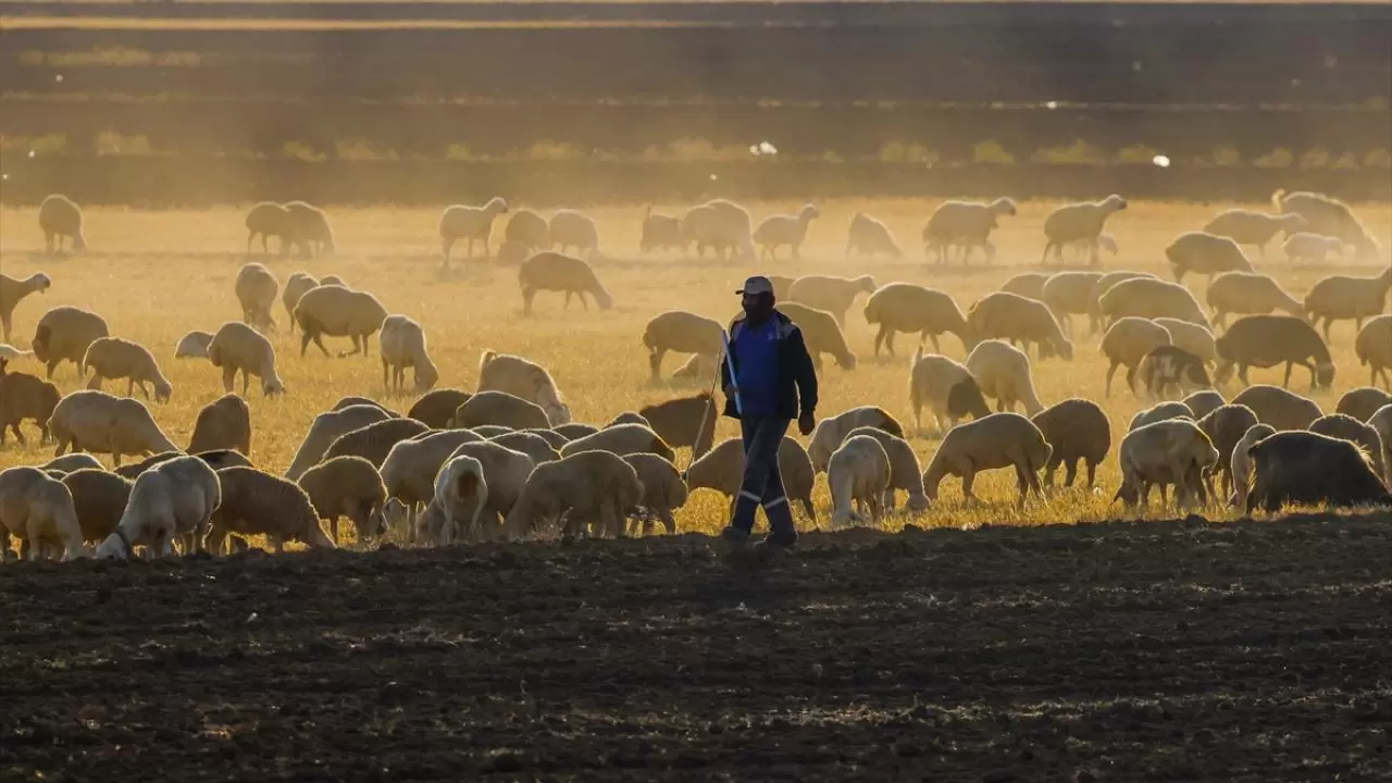 Tuz Gölü pembe renge büründü 6