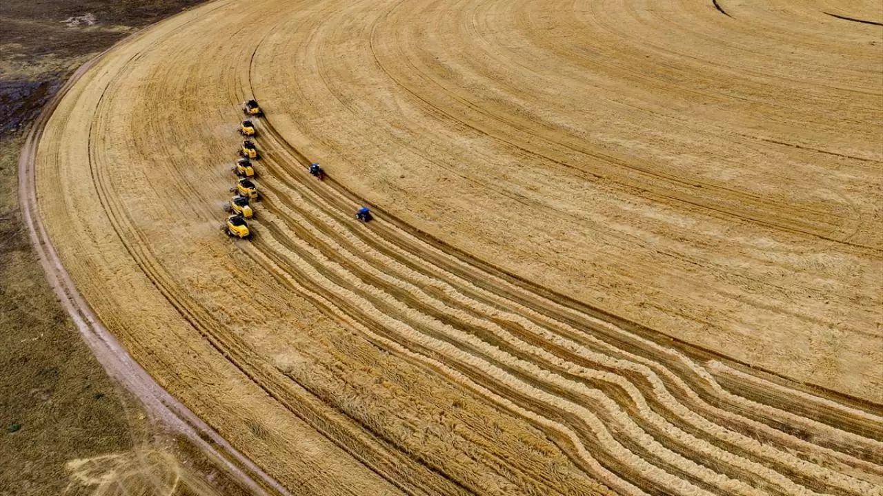 Konya'nın devasa dairesel tarlalarında hasat tamamlandı 2