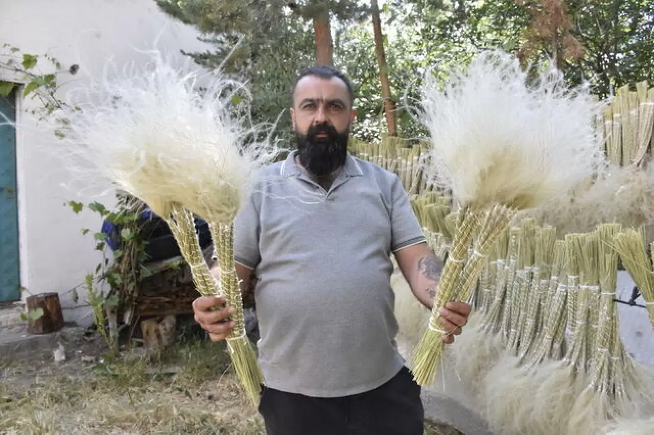 Mekanları süsleyen pampasın 'zahmetli' yolculuğu 3