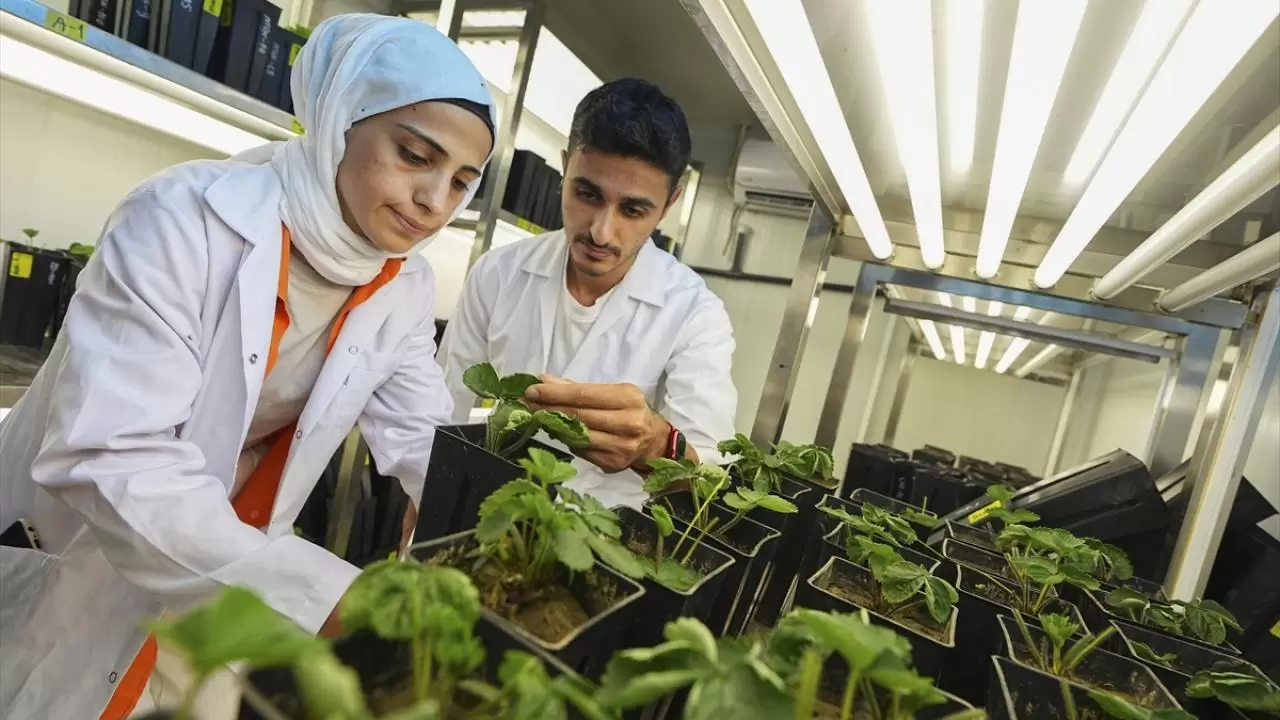 Türkiye'nin ilk tohum enstitüsü faaliyete başladı 5