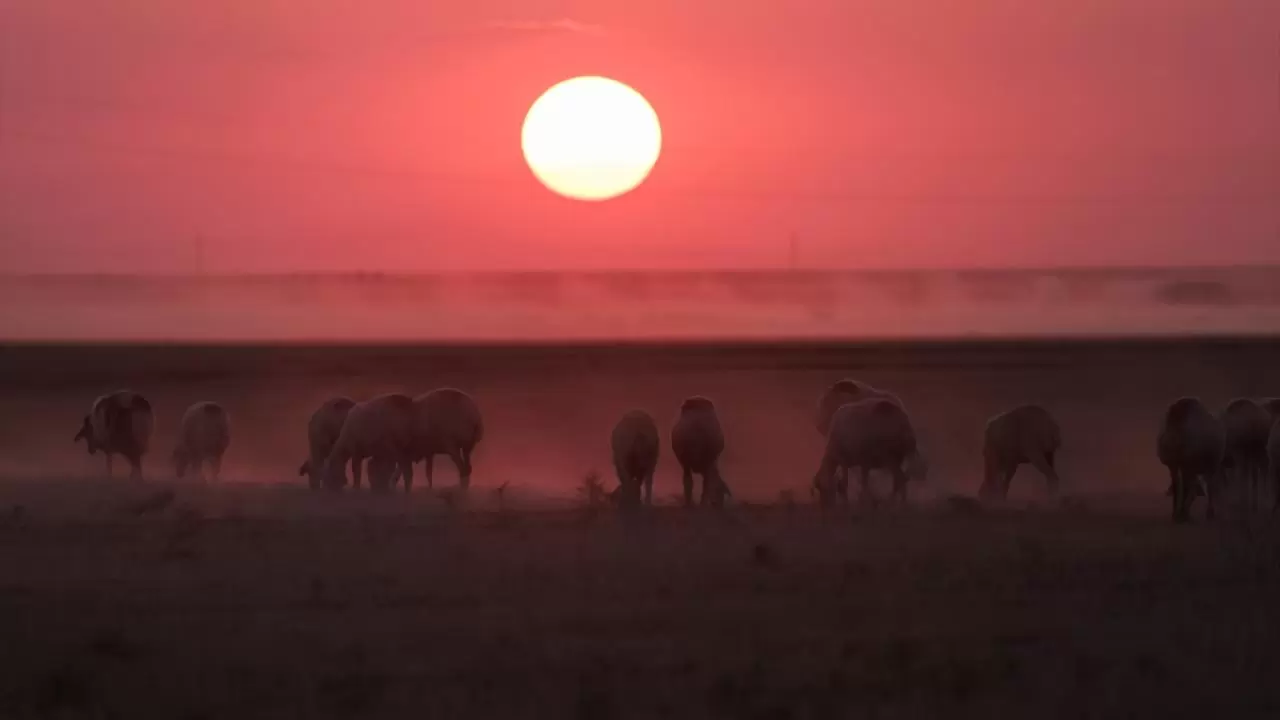 Tuz Gölü pembe renge büründü 8