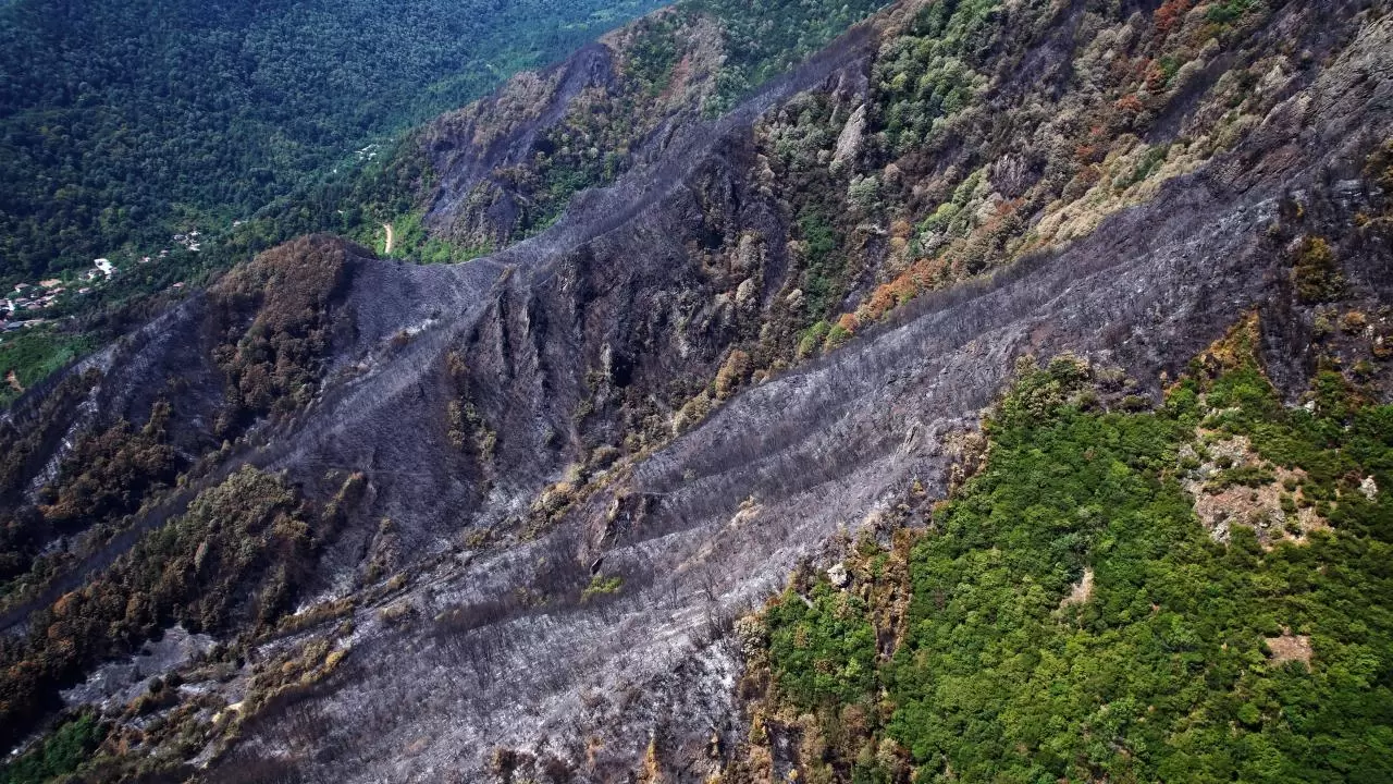 Yangın sonrası acı tablo: 'Yeşil' ve 'siyah' yan yana 2