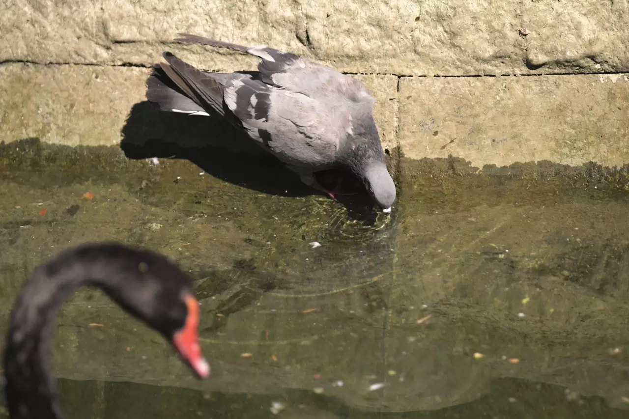 Yurttan içinizi serinletecek manzaralar 11