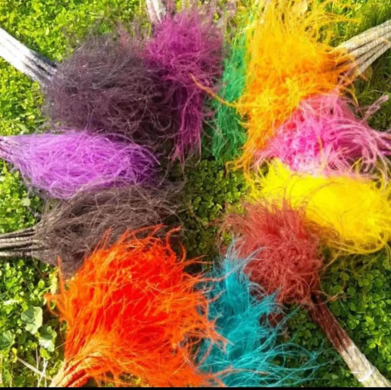 Mekanları süsleyen pampasın 'zahmetli' yolculuğu 4