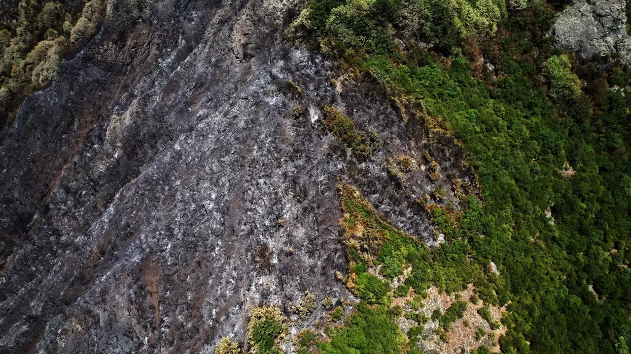 Yangın sonrası acı tablo: 'Yeşil' ve 'siyah' yan yana 1