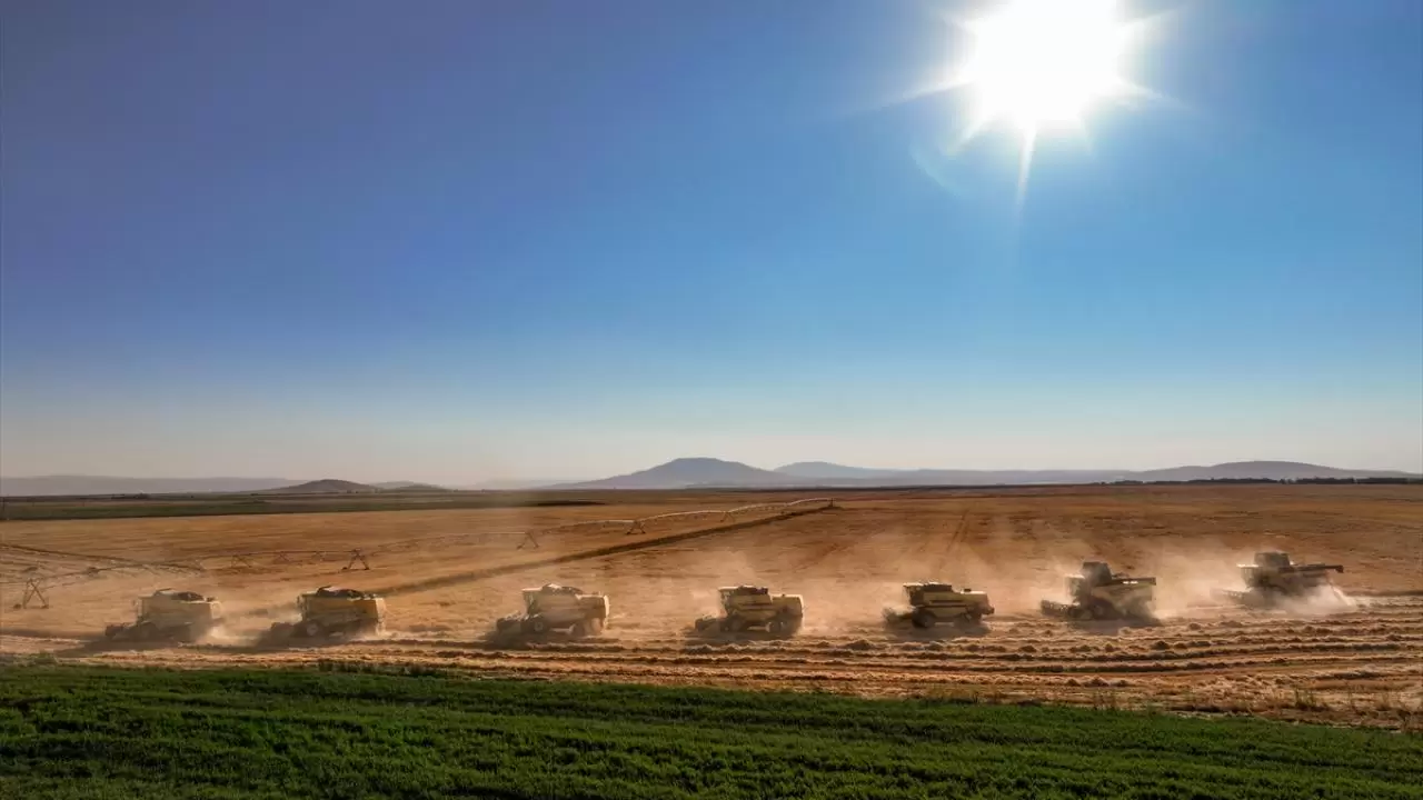 Konya'nın devasa dairesel tarlalarında hasat tamamlandı 12