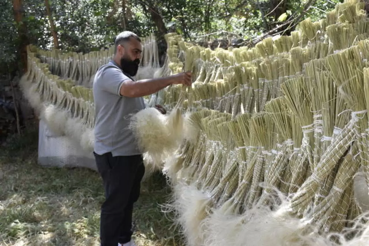 Mekanları süsleyen pampasın 'zahmetli' yolculuğu 5