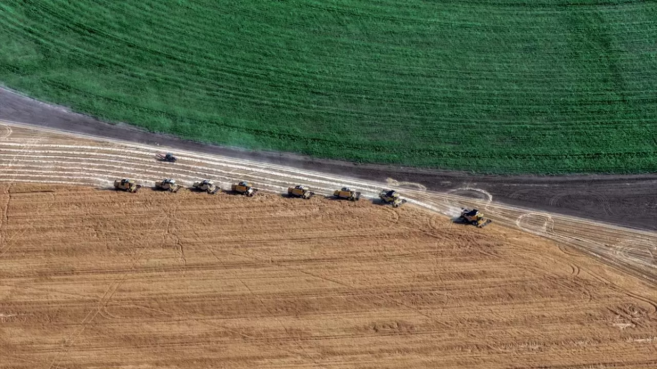 Konya'nın devasa dairesel tarlalarında hasat tamamlandı 3