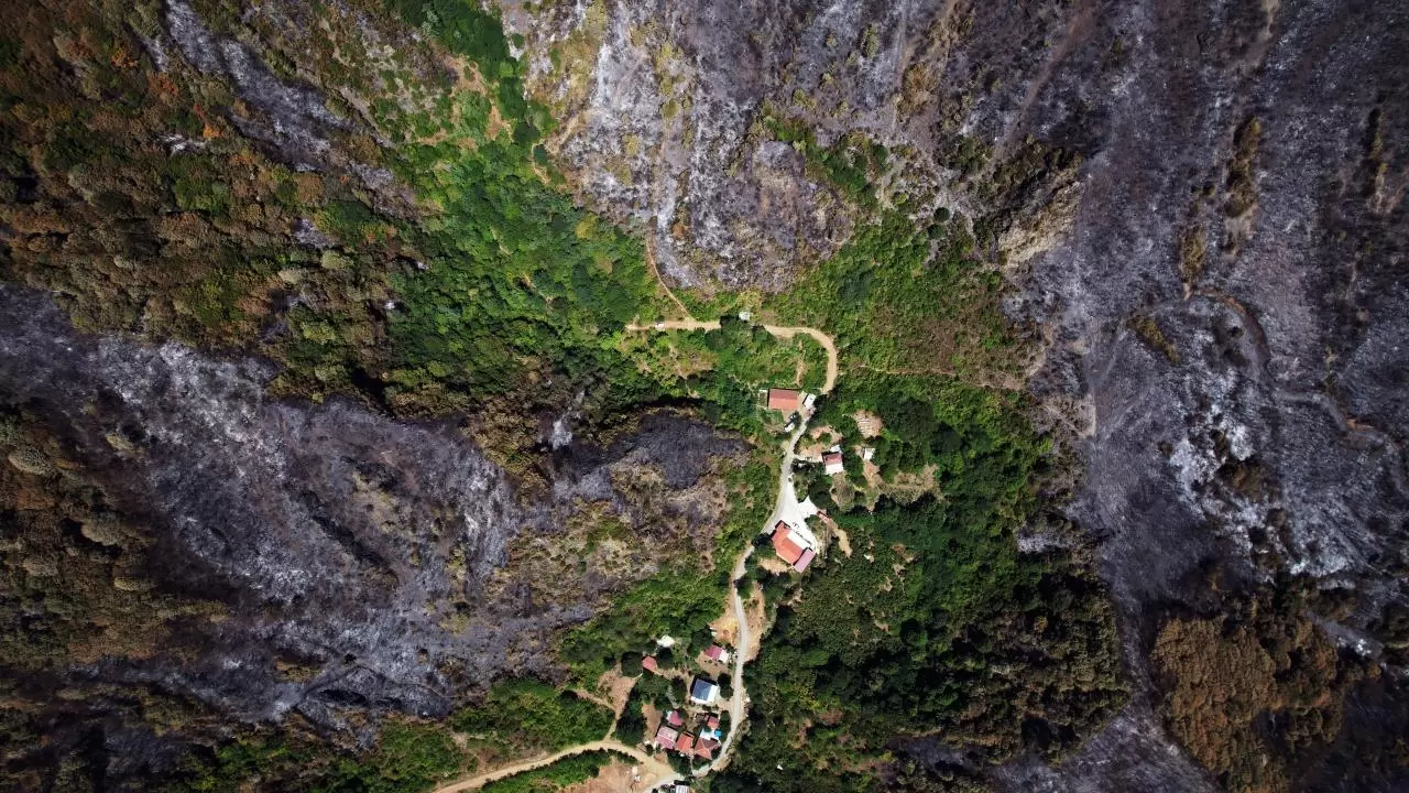 Yangın sonrası acı tablo: 'Yeşil' ve 'siyah' yan yana 3