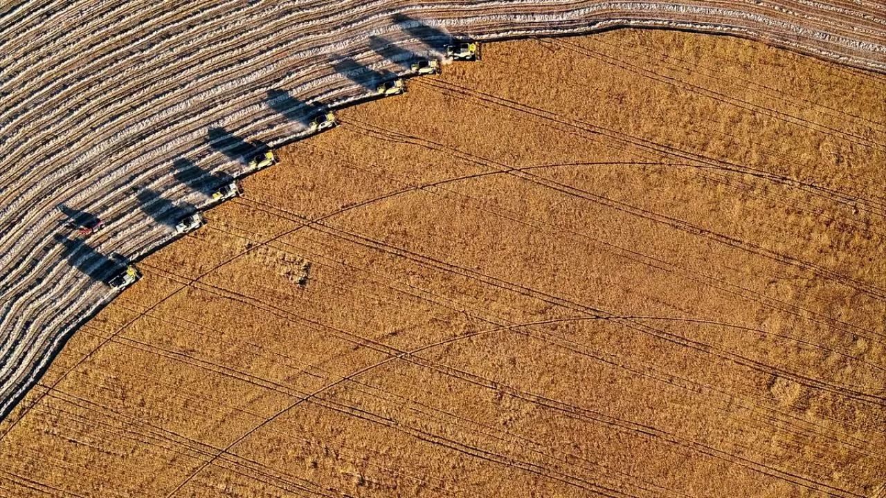 Konya'nın devasa dairesel tarlalarında hasat tamamlandı 9