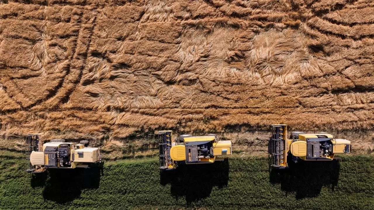 Konya'nın devasa dairesel tarlalarında hasat tamamlandı 5