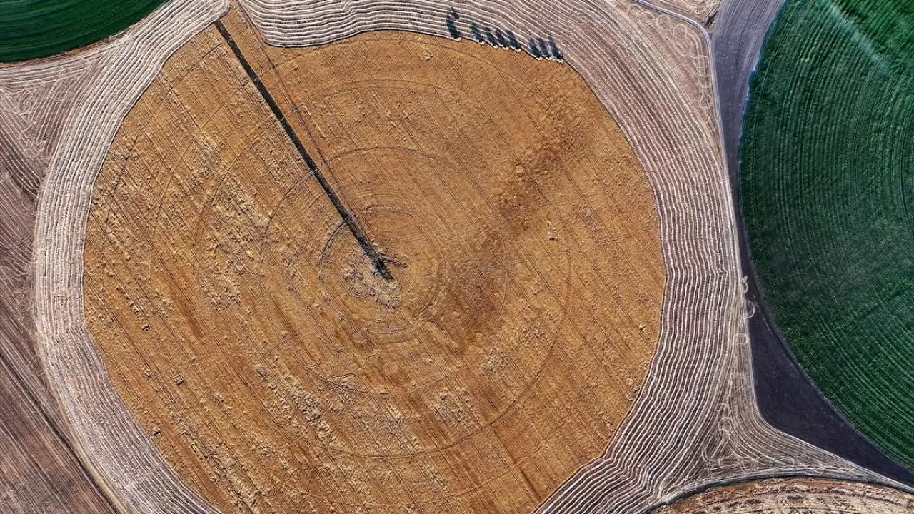 Konya'nın devasa dairesel tarlalarında hasat tamamlandı 10