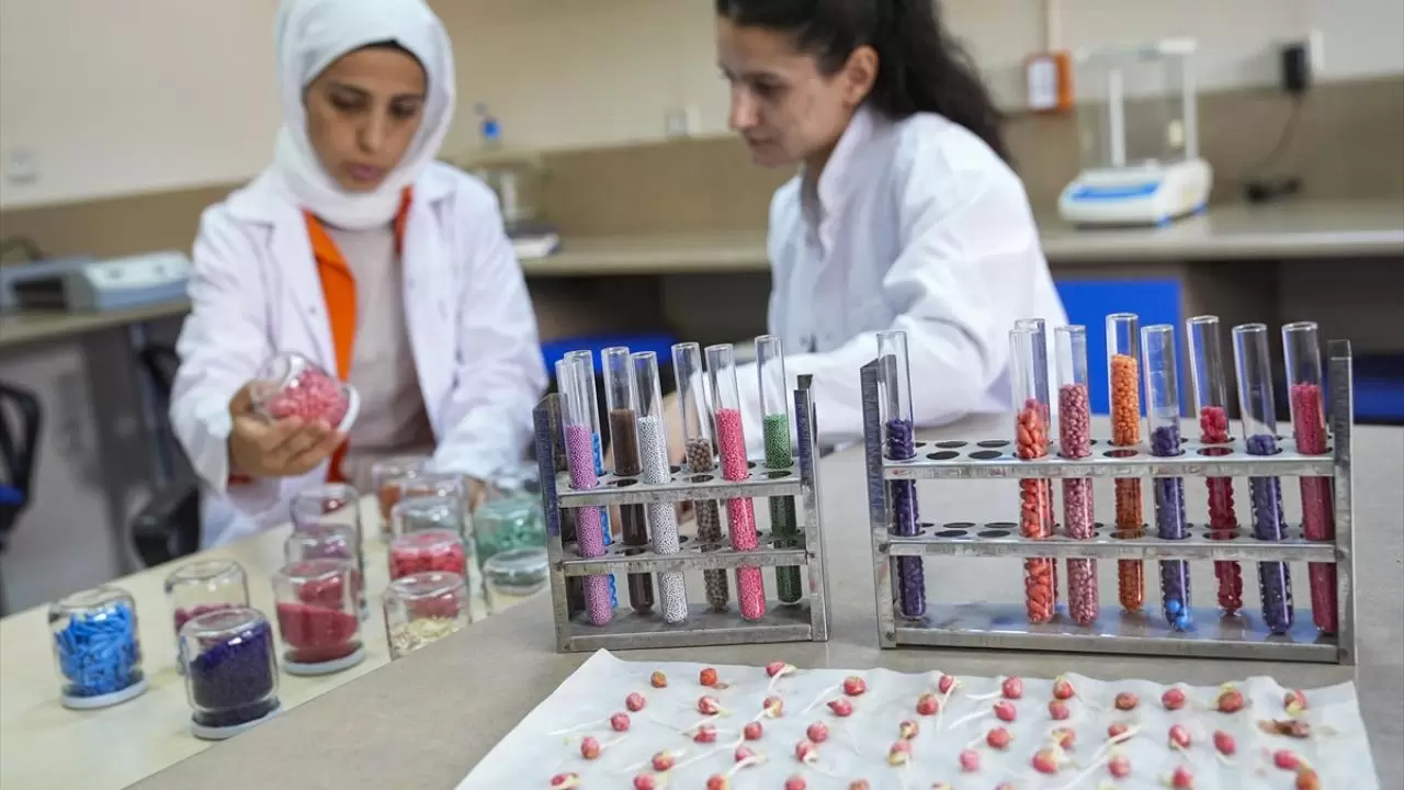 Türkiye'nin ilk tohum enstitüsü faaliyete başladı 9