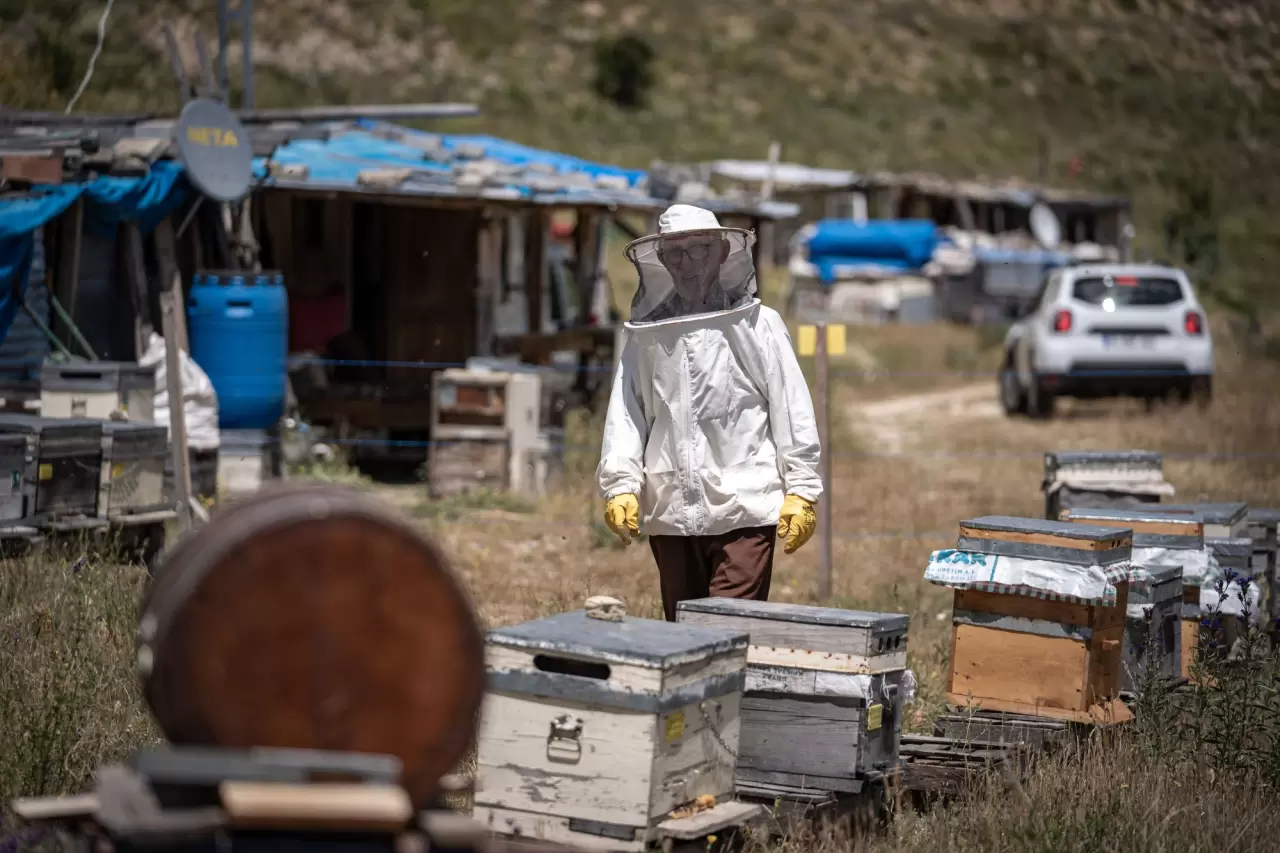 Kanseri yendi, hayatını arıcılığa adadı 5