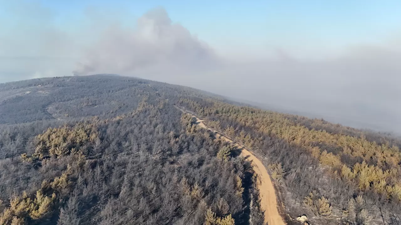 Tekirdağ'da orman yangınından etkilenen alanlar havadan görüntülendi 2