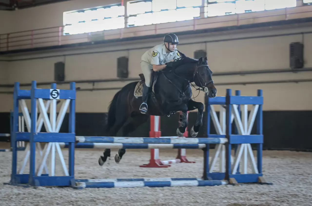 Türk Silahlı Kuvvetleri'nin atları özenle yetiştiriliyor 1
