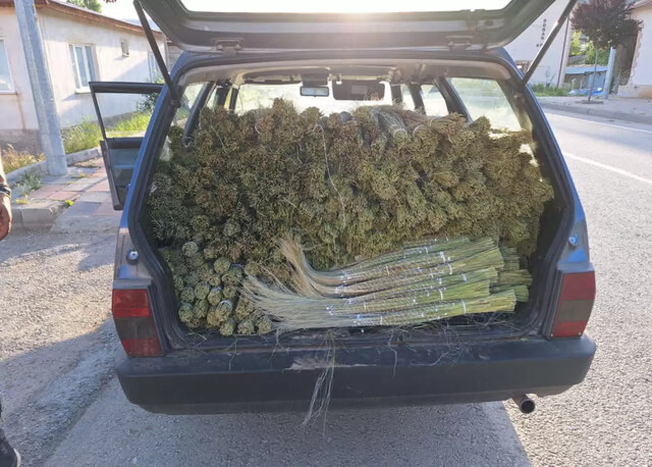 Mekanları süsleyen pampasın 'zahmetli' yolculuğu 7