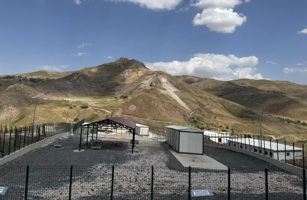 Doğal yaşam alanında 1600den fazla köpek barınıyor 4