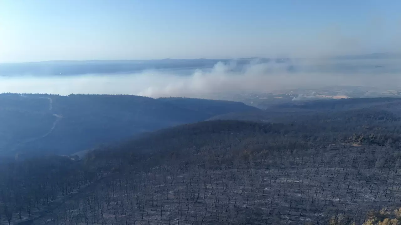 Tekirdağ'da orman yangınından etkilenen alanlar havadan görüntülendi 5